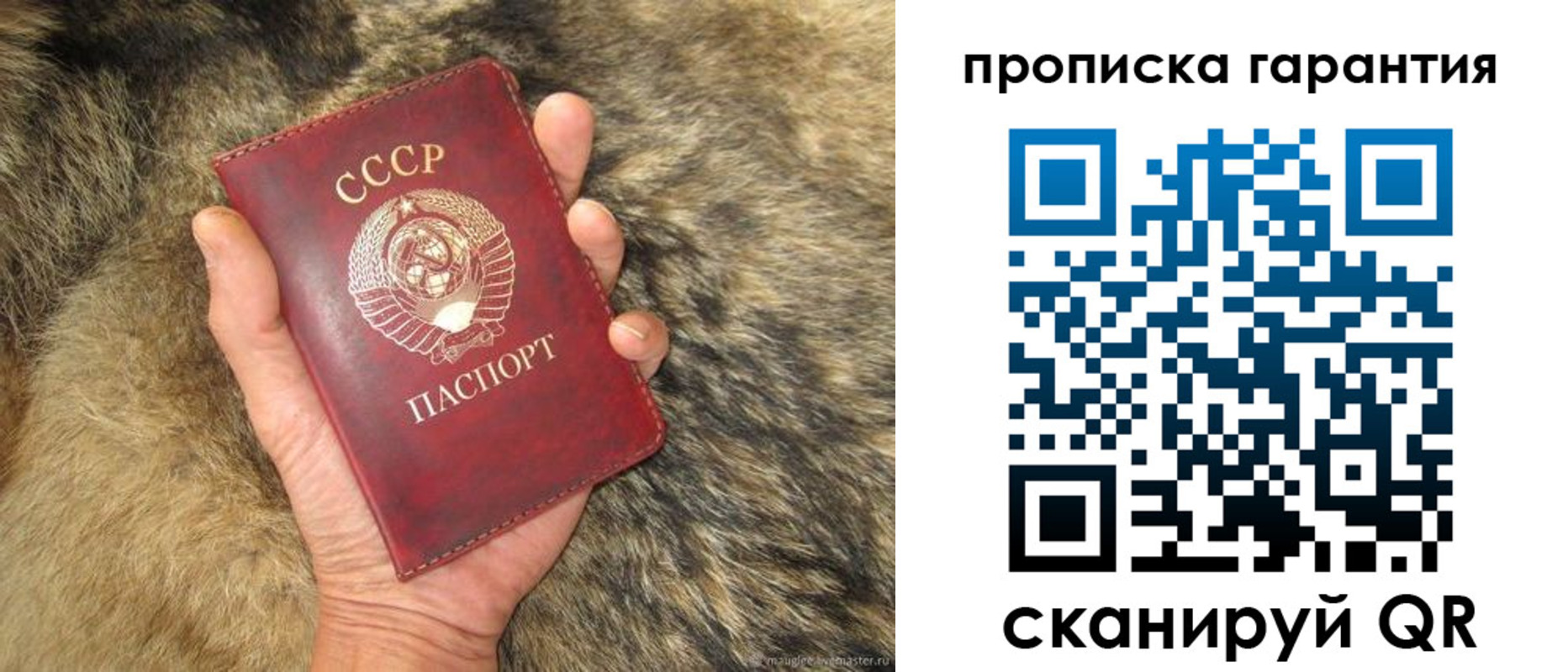 временная регистрация гарантия в Бокситогорске